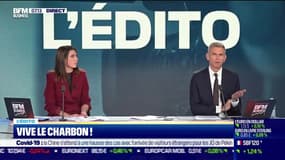 Le débat : Vive le charbon ! , par Jean-Marc Daniel - 23/12