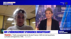 Hébergement d'urgence en Île-de-France: des associations d'aide aux migrants déboutées