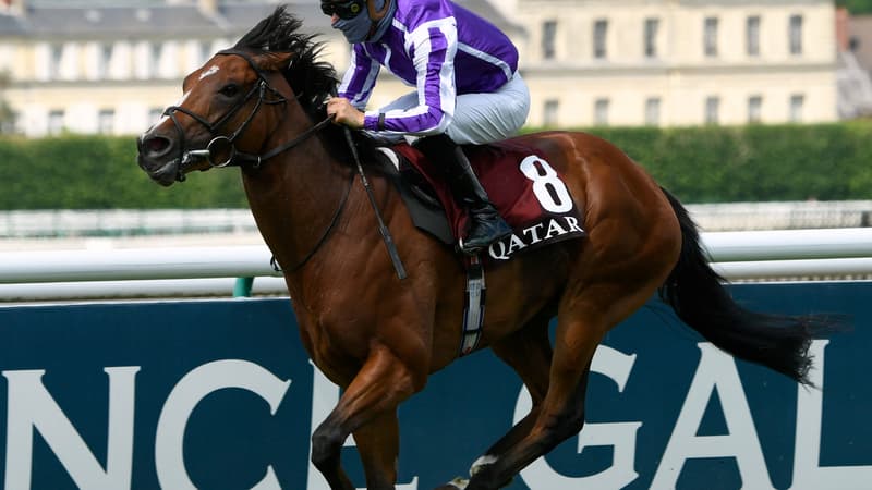 Saint Mark's Basilica remporte facilement le Prix du Jockey Club