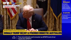 Donald Trump assure que si les membres du Hamas ne respectent pas l'accord de cessez-le-feu dans la bande de Gaza, "ils seront éradiqués"