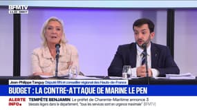 Taxe sur les petits colis: pour Jean-Philippe Tanguy (RN), c'est "une taxe pour faire les poches des Français"