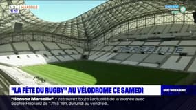Rugby: Toulon-Toulouse au stade Vélodrome ce samedi soir