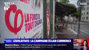 Législatives 2024: l'union de la gauche reste fragile