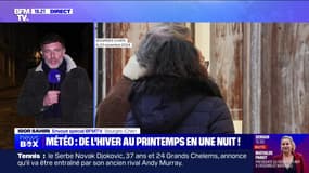Météo : de l'hiver au printemps en une nuit ! - 23/11