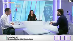 C'est la Tech BB ! : BB comme Biodiversité et Biomimétisme
