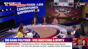 Législatives: quelles sont les candidatures les plus surprenantes? 