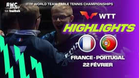 Tennis de table : Les Bleus filent en demies après un gros combat contre le Portugal