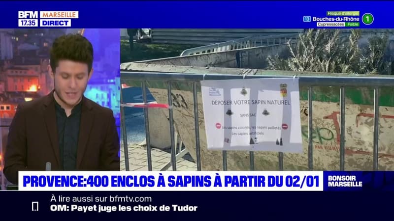 Provence: la collecte des sapins commencera le 2 janvier dans la métropole