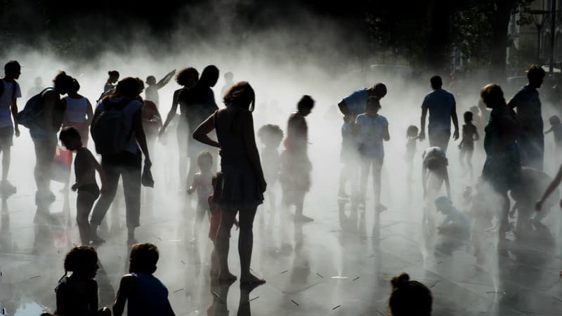 Image d'illustration