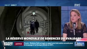 Bienvenue dans "l'arche de Noé végétale" qui conserve des graines du monde entier...