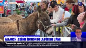 Bouches-du-Rhône: 26ème édition de la fête de l'âne à Allauch