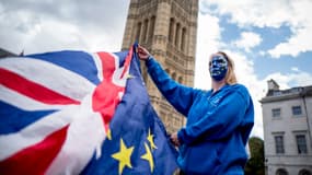 Une manifestante pro-UE devant le Parlement britannique, le 13 septembre, à Londres. 