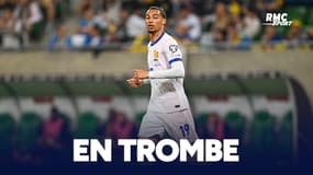 Ukraine 0-2 France : "Liverpool, les Bleus... tout va très vite" savoure Ekitike