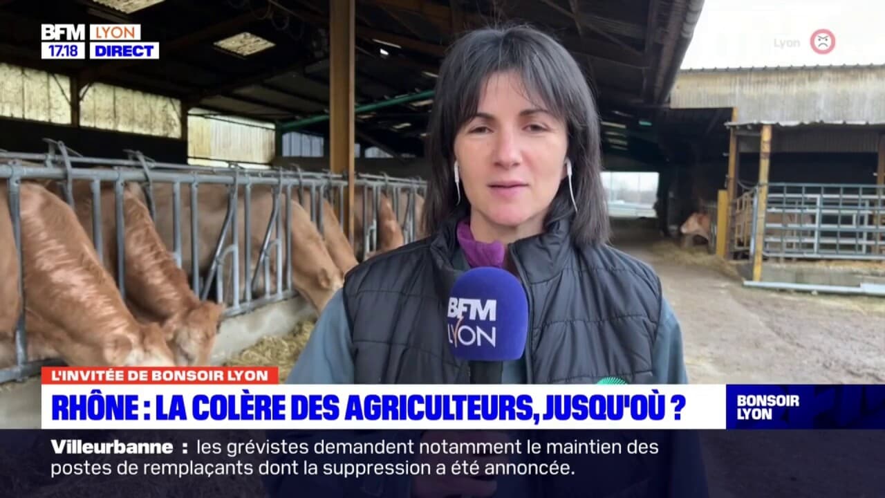 Rhône: Les Raisons De La Colère Des Agriculteurs