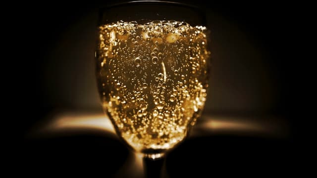 En Champagne, le bio est plus difficile car le nombre de jours de pluie favorise le développement des champignons qui menacent le raisin et les récoltes.