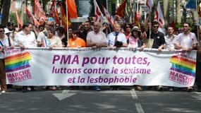Des manifestants à la gay pride de Lyon en juin 2013.