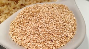 La coopérative agricole pays de Loire veut faire prendre conscience aux consommateurs qu'il existe un quinoa d'origine France.
