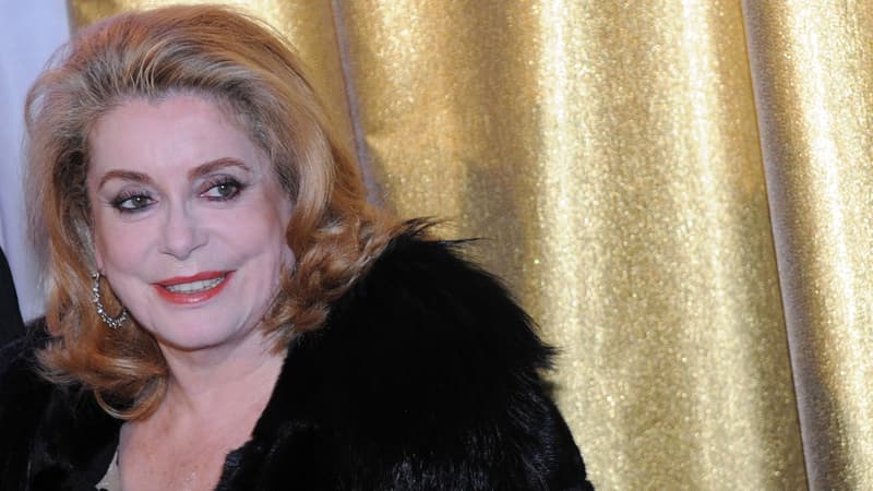 Catherine Deneuve dans un festival en Allemagne le 27 janvier 2014.