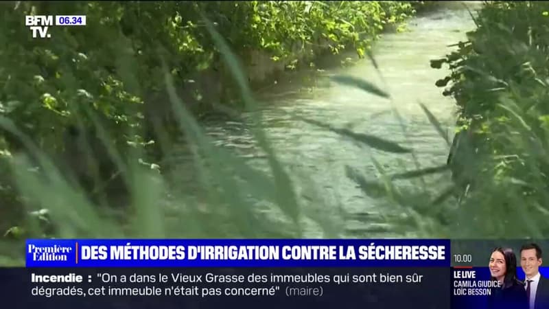 Dans la plaine de la Crau, ces agriculteurs utilisent des méthodes d'irrigation imaginées au XVIe siècle pour lutter contre la sécheresse
