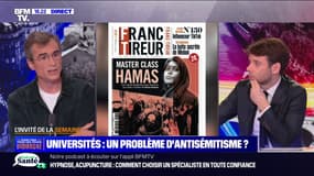 Raphaël Enthoven: Rima Hassan "est quelqu'un qui dit des choses extrêmement dangereuses"