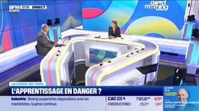 L'apprentissage en danger?