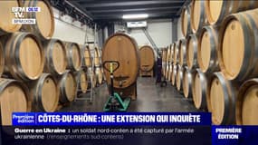 Côtes-du-rhône: l'extension de l'appellation inquiète élus et riverains