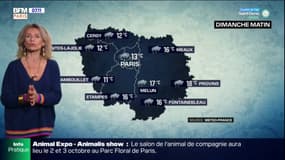 Météo : toujours de la pluie ce dimanche matin en Ile-de-France, quelques éclaircies attendues dans l'après-midi 