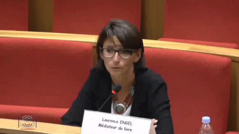 Laurence Engel, lors d'une autition au Sénat, en tant que médiateur du livre.