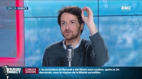 En Roumanie, les tronçonneuses font "crier" les arbres