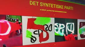Le site du parti synthétique danois