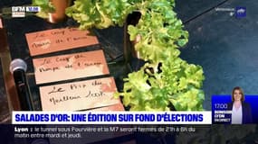 Coup de gueule, coup de maître... La cérémonie des Salades d'Or récompense les moments politiques forts de l'année