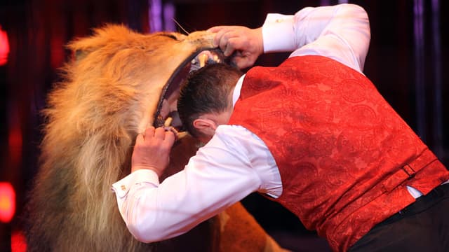 Numéro de cirque avec un lion lors du Festival de Monaco en février 2012.