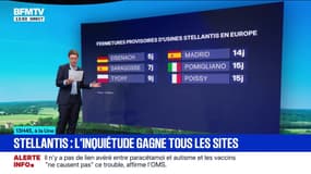 Poissy, Espagne, Italie, Allemagne... Six usines Stellantis sont fermées provisoirement en Europe 