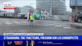 Des tensions éclatent entre les forces de l'ordre et des agriculteurs mobilisés devant le Parlement européen à Strasbourg