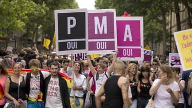 L'ouverture de la PMA aux couples de femmes et aux femmes célibataires était une promesse de campagne de François Hollande.
