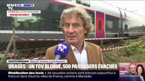 TGV bloqué: les passagers “ont passé toute la nuit dans la salle des fêtes”, indique le maire de Tonneins (Lot-et-Garonne) 