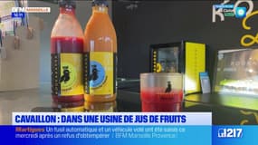 Cavaillon: immersion dans une usine de jus de fruits