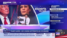 Les experts du soir - lundi 4 novembre