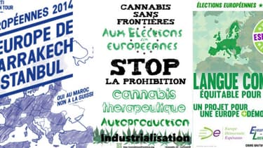 Exemples d'affiches de listes alternatives pour les élections européennes du 25 mai
