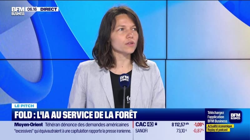 Le Pitch : Fold, l'IA au service de la forêt - 11/05