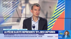 La pêche illicite représente au moins 15 % des captures mondiales de poissons