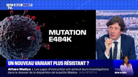 Covid-19: que sait-on du nouveau variant découvert en Écosse ?