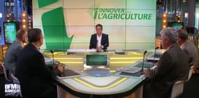 L'agro-écologie, une solution à la crise du monde agricole ? - 23/06