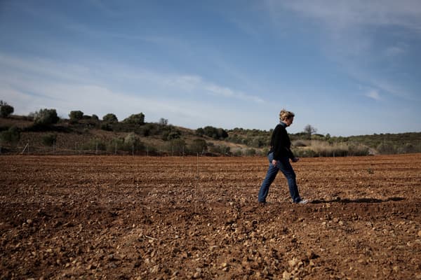 Marguerite Bonzoms, chef d'exploitation agricole française, marche dans son champ de pistachiers, à Calce, dans le sud-ouest de la France, le 8 février 2024. 