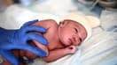 Le nombre de naissances a baissé de 7,2% sur les huit premiers mois de l'année 2023.