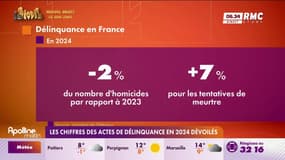 Les chiffres des actes de délinquance en 2024 dévoilés 