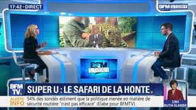 Super U: Le safari de la honte