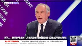 Élections européennes: "La seule option si nous voulons survivre et trouver de l'avenir, c'est de bâtir une Union européenne solidaire", assure François Bayrou