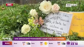Une adolescente poignardée à mort chez elle à Rouen 