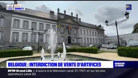 Belgique: interdiction de vente d'artifices